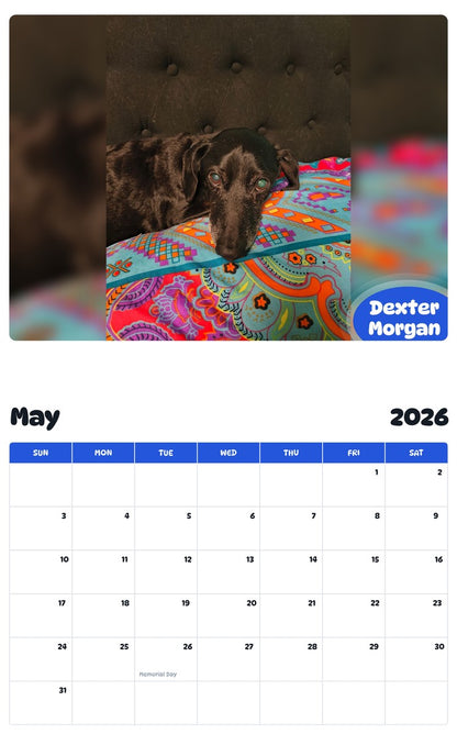 2026 - 2027 Dexter Morgan - Pawidols Pet Calendar
