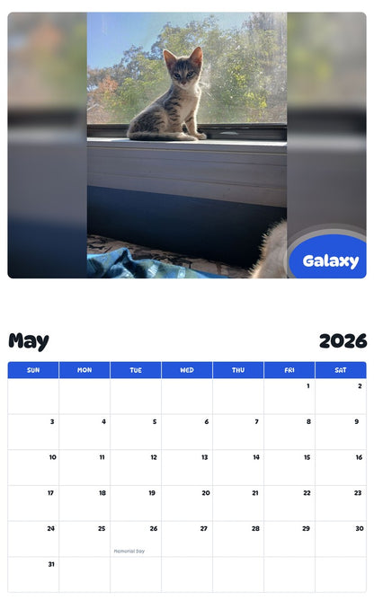 2026 - 2027 Galaxy - Pawidols Pet Calendar
