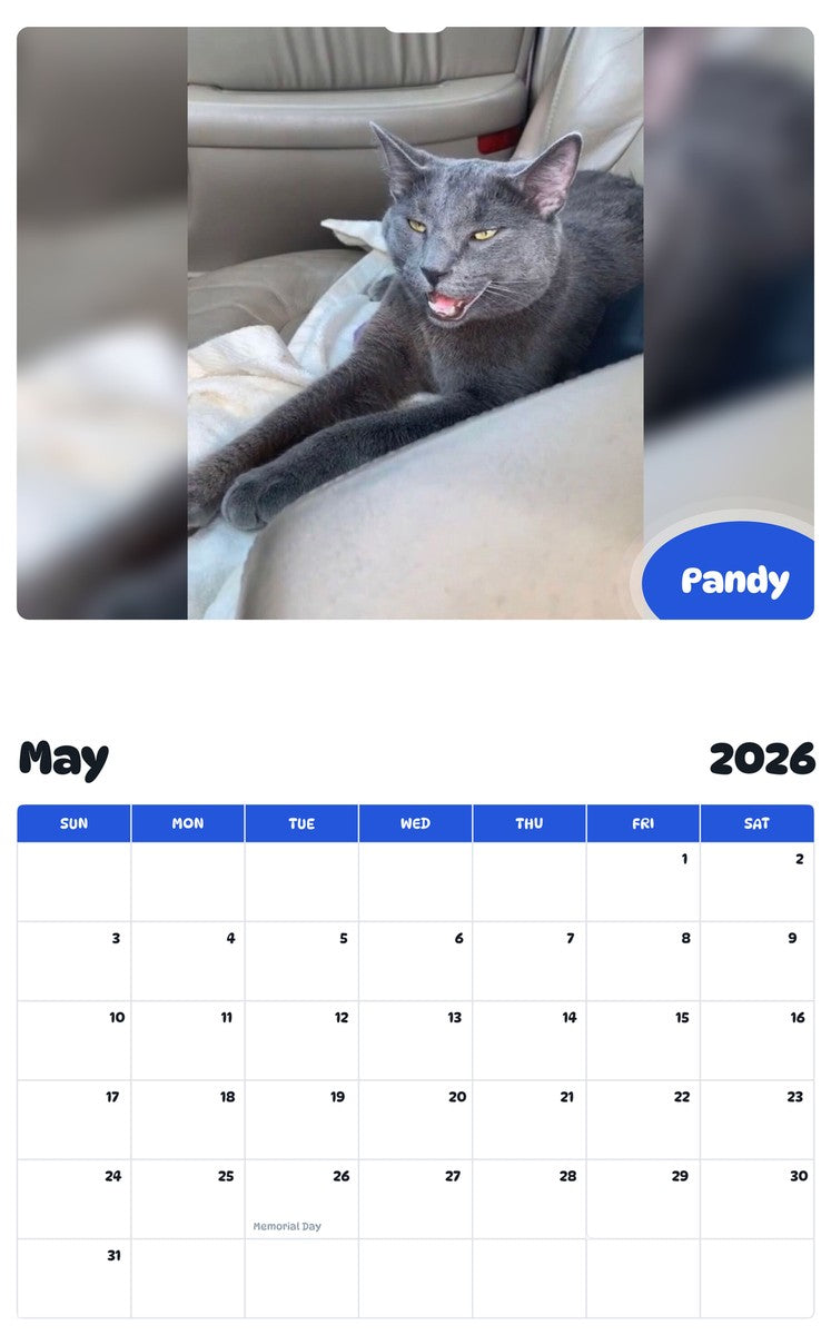 2026 - 2027 Pandy - Pawidols Pet Calendar