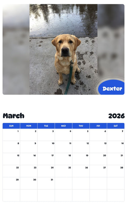 November 2025 - October 2026 Dexter - Pawidols Pet Calendar