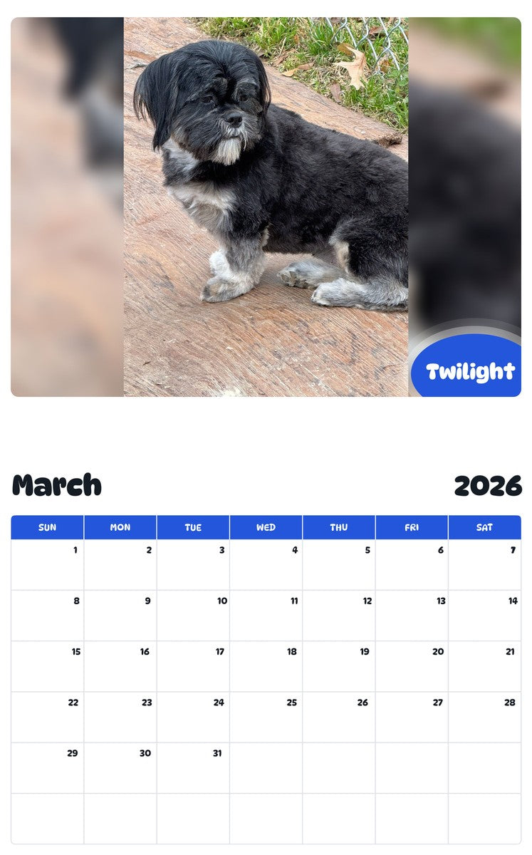 November 2025 - October 2026 Twilight - Pawidols Pet Calendar