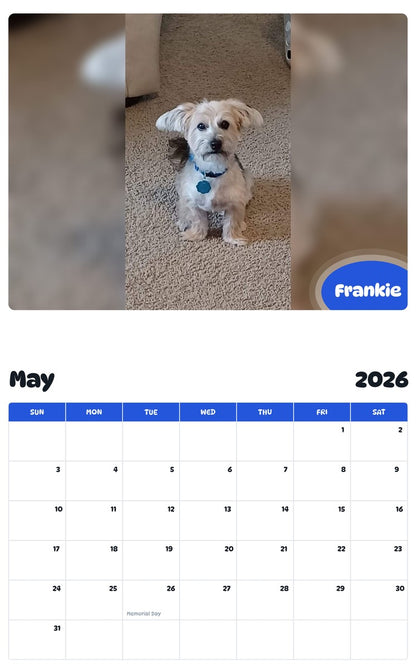 2026 - 2027 Frankie - Pawidols Pet Calendar