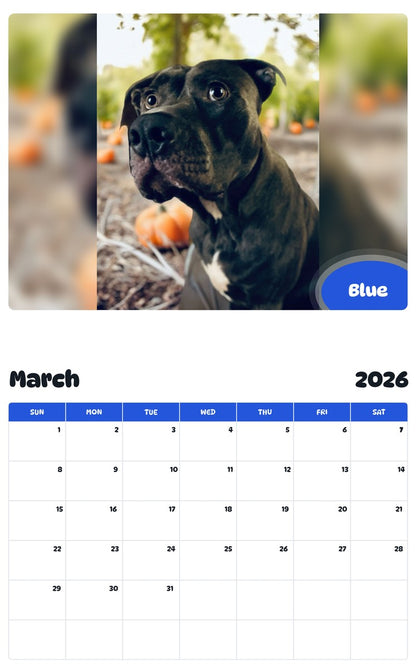 November 2025 - October 2026 Blue - Pawidols Pet Calendar