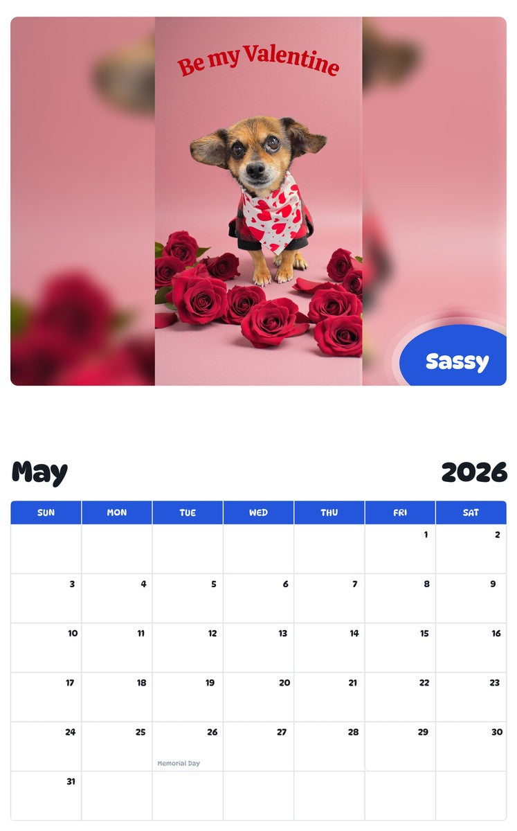 2026 - 2027 Sassy - Pawidols Pet Calendar