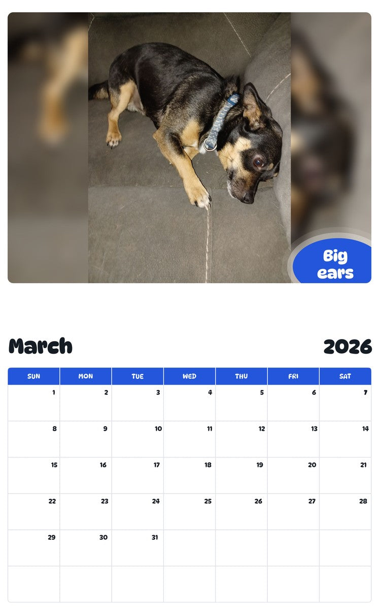 November 2025 - October 2026 Big ears - Pawidols Pet Calendar