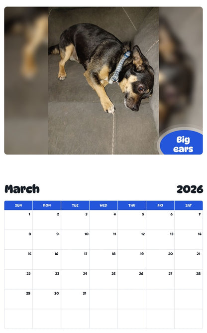 November 2025 - October 2026 Big ears - Pawidols Pet Calendar