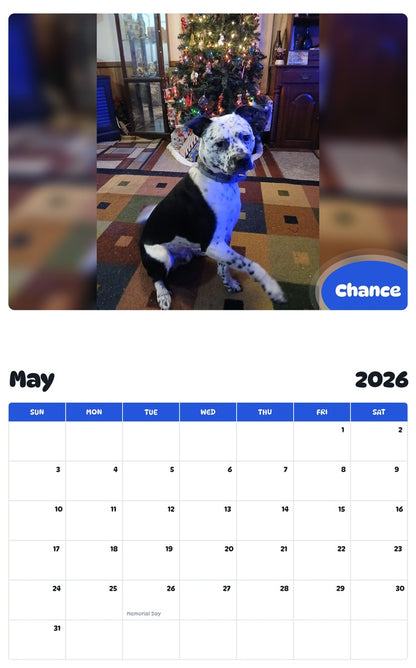 2026 - 2027 Chance - Pawidols Pet Calendar
