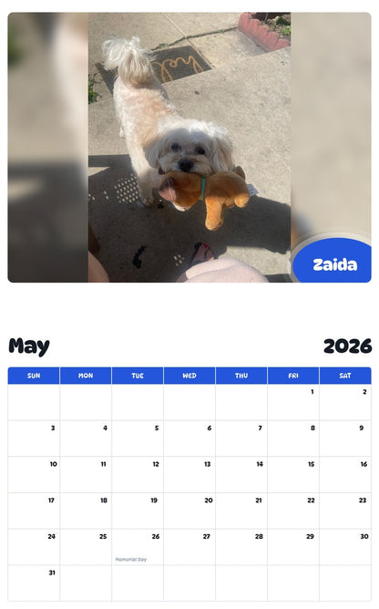 2026 - 2027 Zaida - Pawidols Pet Calendar