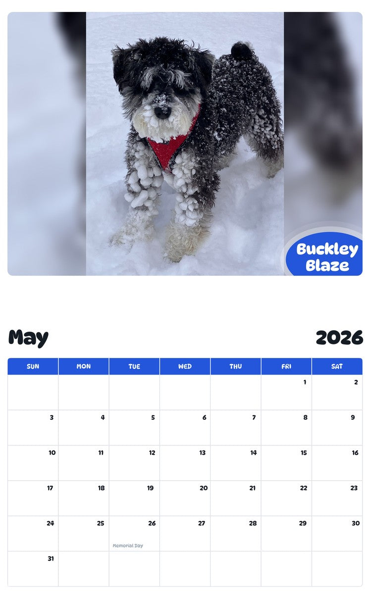 2026 - 2027 Buckley Blaze - Pawidols Pet Calendar