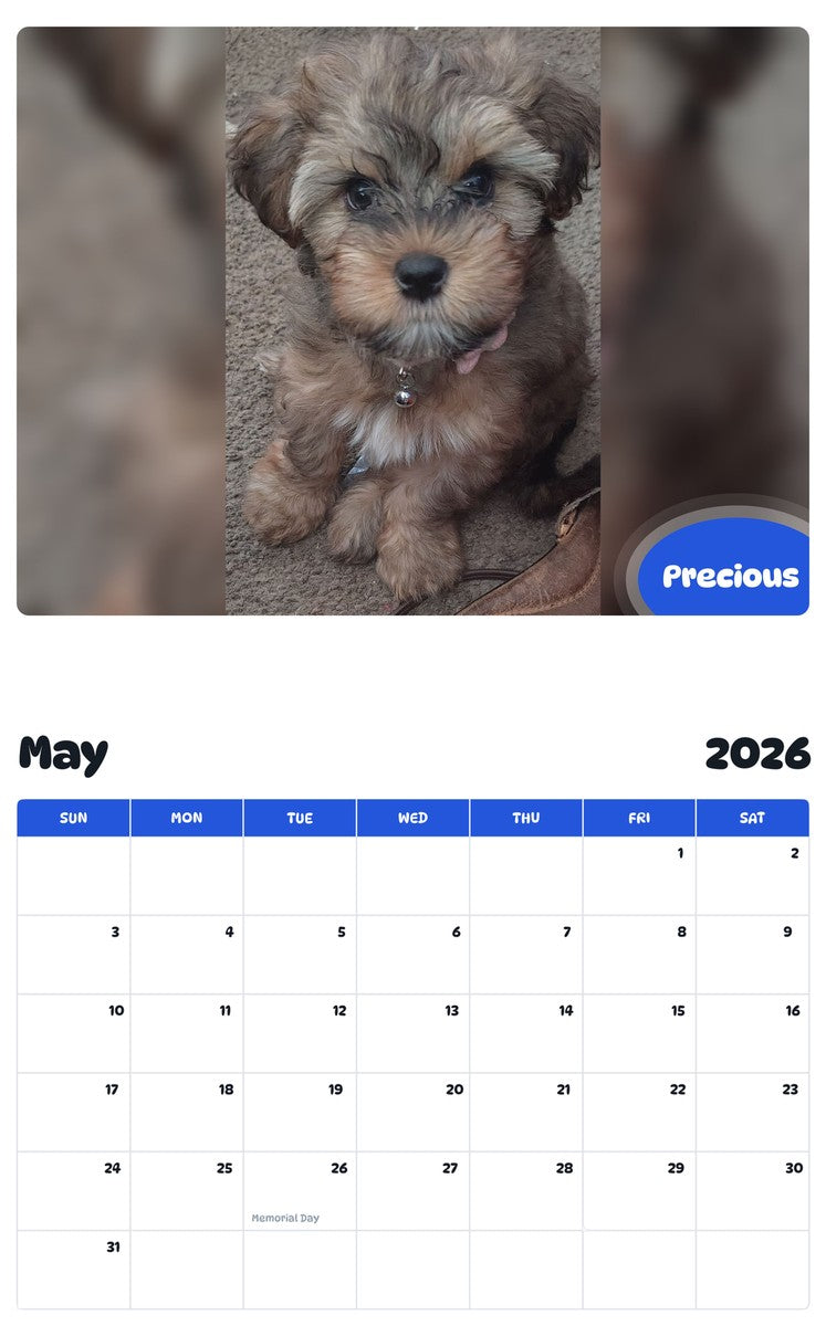 2026 - 2027 Precious - Pawidols Pet Calendar
