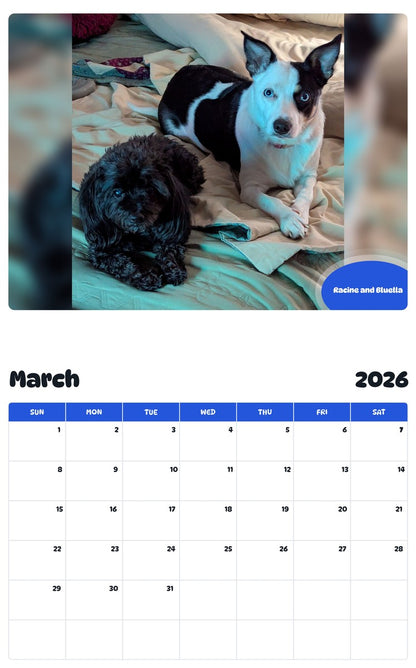 November 2025 - October 2026 Racine and Bluella - Pawidols Pet Calendar