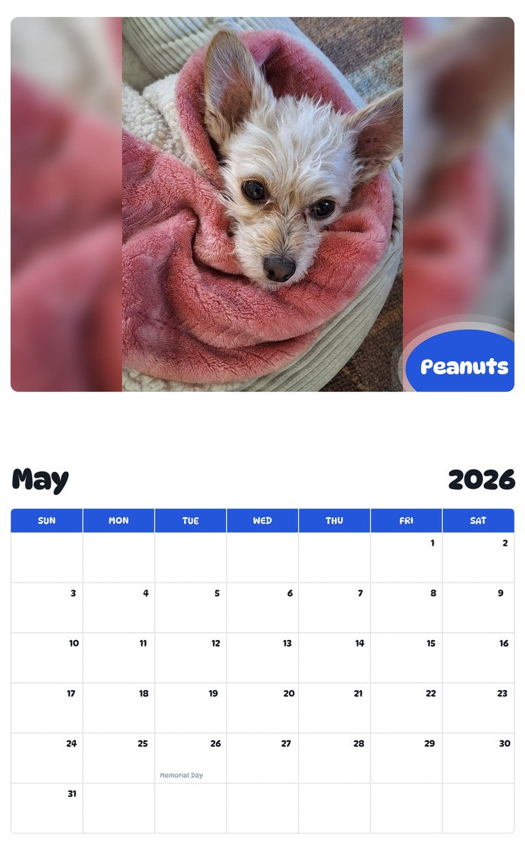 2026 - 2027 Peanuts - Pawidols Pet Calendar