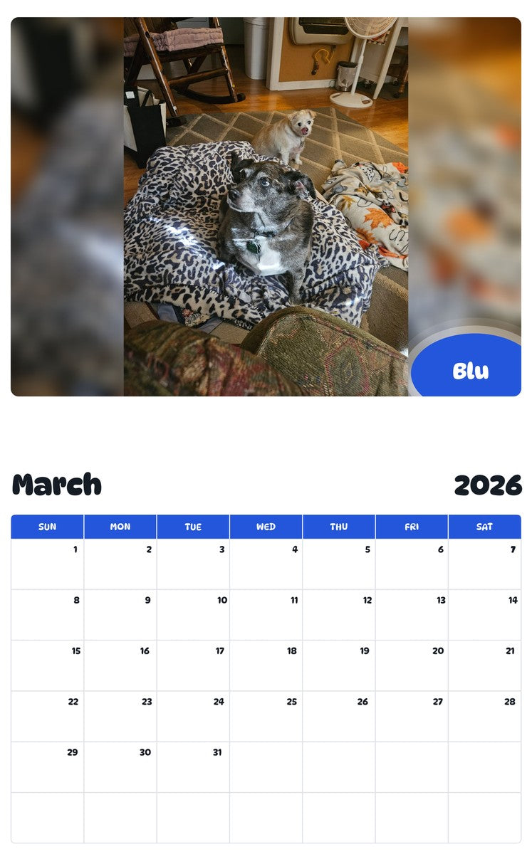 November 2025 - October 2026 Blu - Pawidols Pet Calendar
