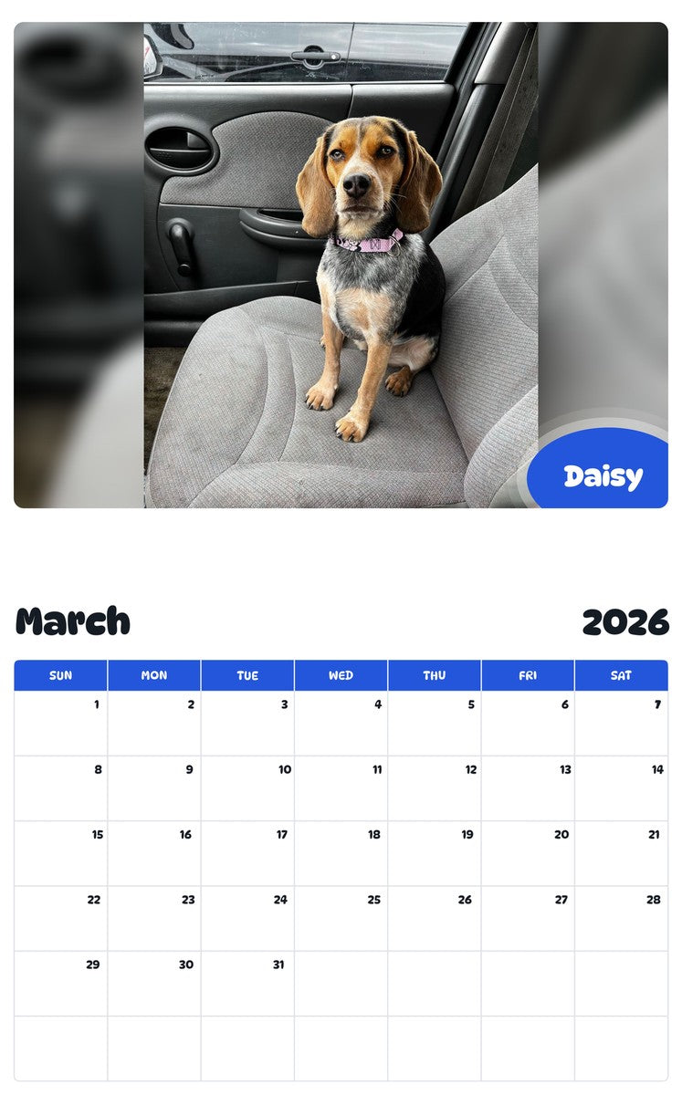 November 2025 - October 2026 Daisy - Pawidols Pet Calendar