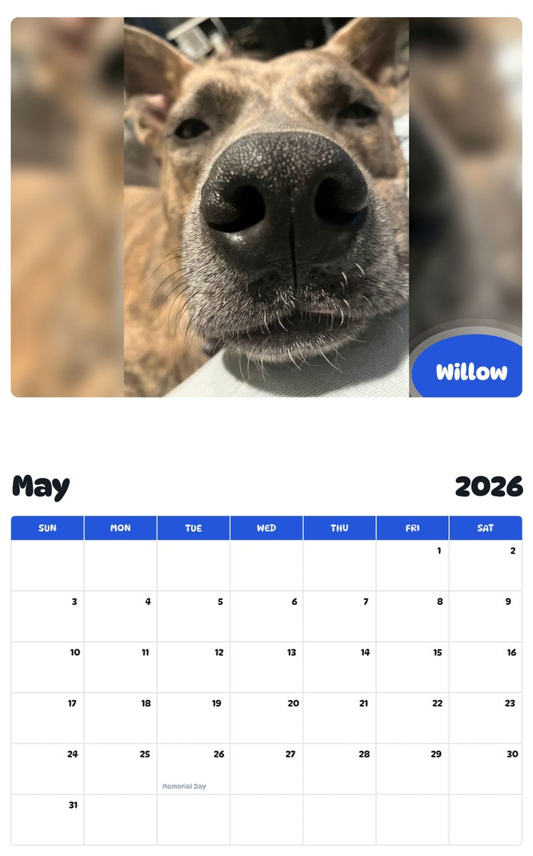 2026 - 2027 Willow - Pawidols Pet Calendar