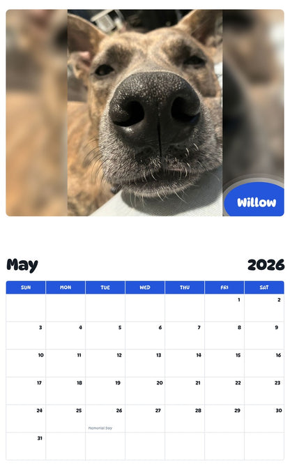 2026 - 2027 Willow - Pawidols Pet Calendar