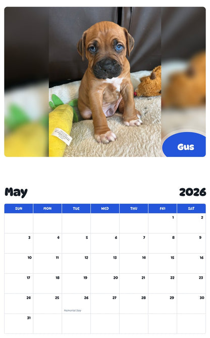 2026 - 2027 Gus - Pawidols Pet Calendar