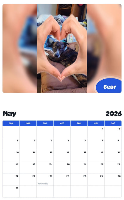 2026 - 2027 Bear - Pawidols Pet Calendar