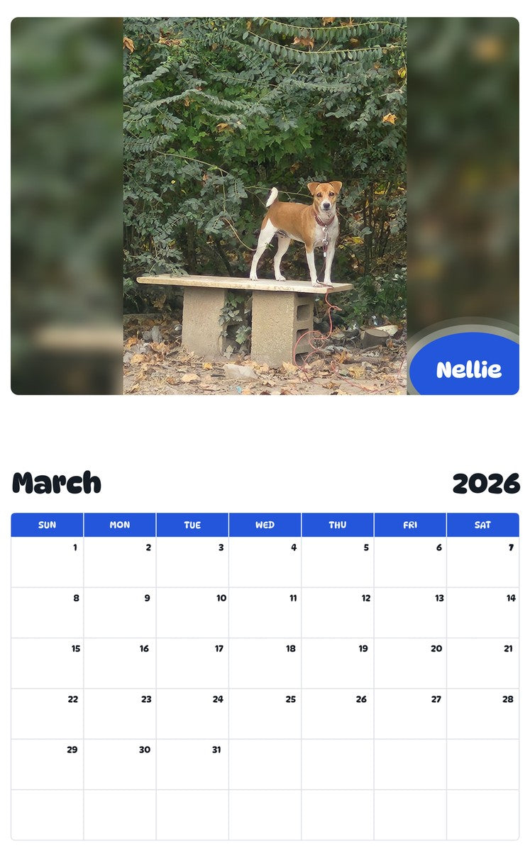 November 2025 - October 2026 Nellie - Pawidols Pet Calendar
