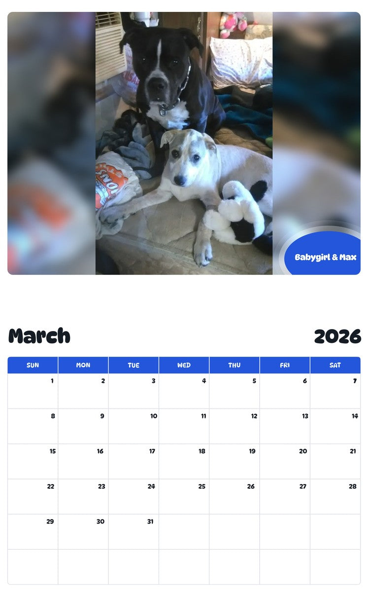 November 2025 - October 2026 Babygirl & Max - Pawidols Pet Calendar