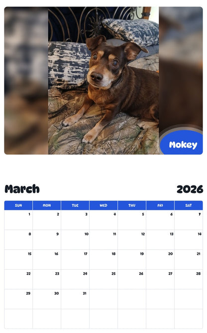 November 2025 - October 2026 Mokey - Pawidols Pet Calendar