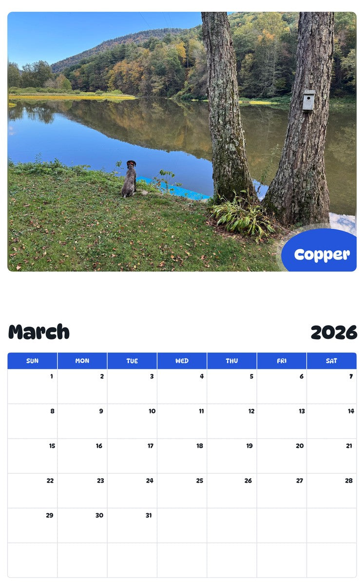 November 2025 - October 2026 Copper - Pawidols Pet Calendar