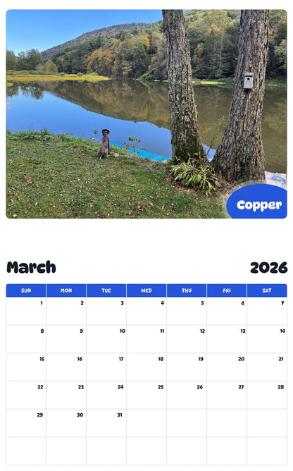 November 2025 - October 2026 Copper - Pawidols Pet Calendar