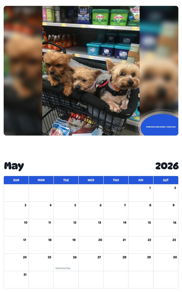 2026 - 2027 Teddy bear. Bella Bushka.  Tucker bear. - Pawidols Pet Calendar