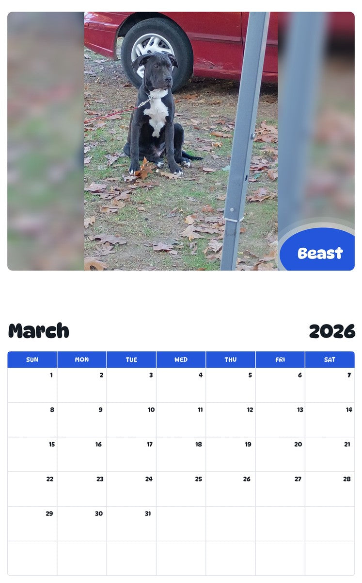 November 2025 - October 2026 Beast - Pawidols Pet Calendar