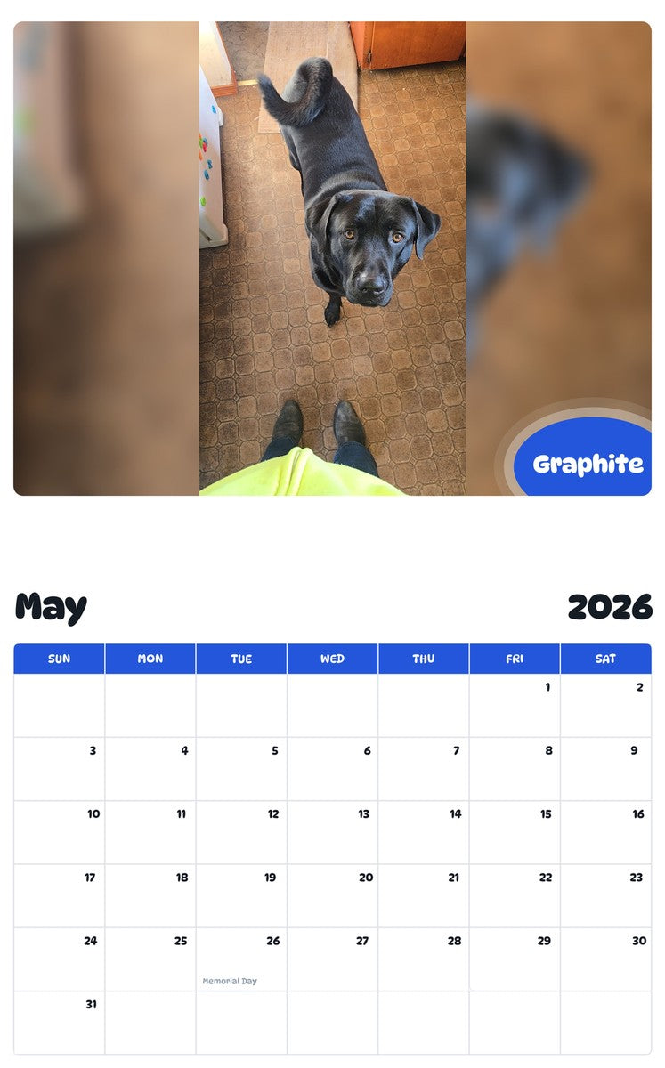 2026 - 2027 Graphite - Pawidols Pet Calendar
