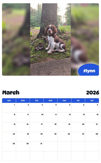 November 2025 - October 2026 Flynn - Pawidols Pet Calendar