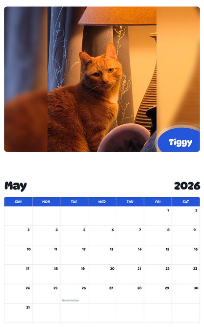 2026 - 2027 Tiggy - Pawidols Pet Calendar