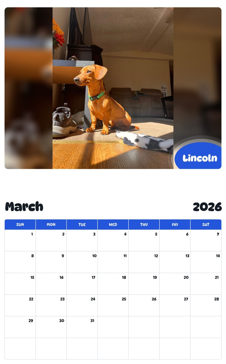 November 2025 - October 2026 Lincoln - Pawidols Pet Calendar