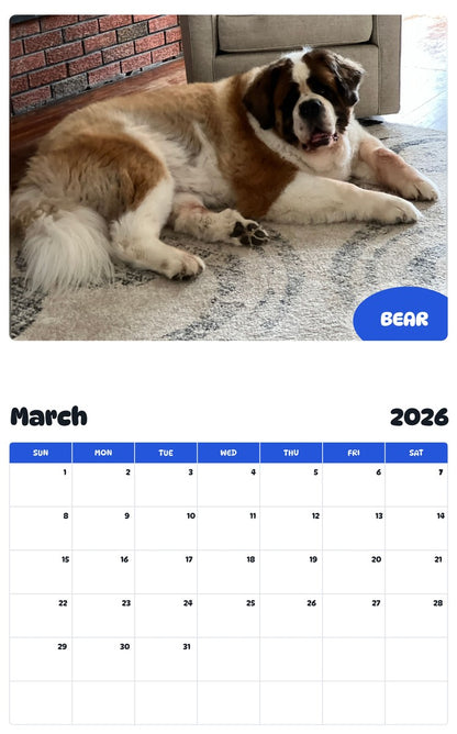 November 2025 - October 2026 BEAR - Pawidols Pet Calendar