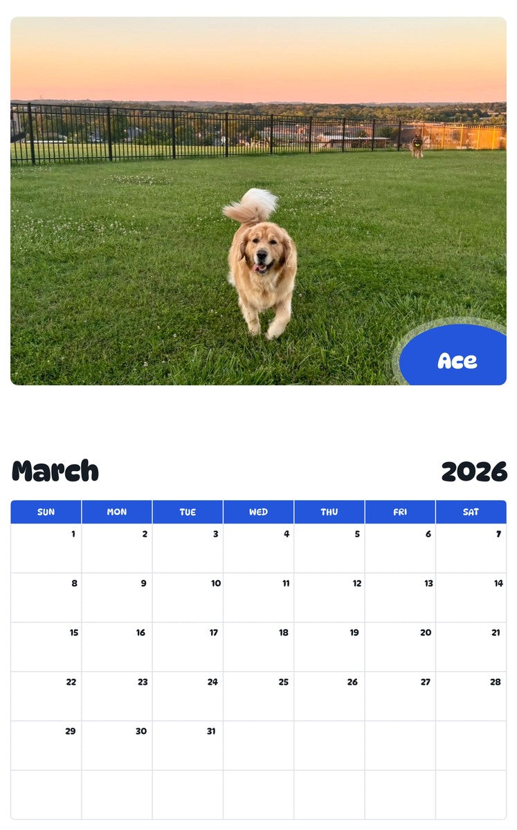 November 2025 - October 2026 Ace - Pawidols Pet Calendar