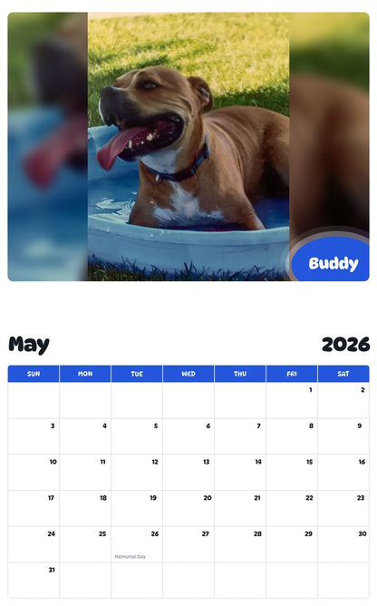 2026 - 2027 Buddy - Pawidols Pet Calendar