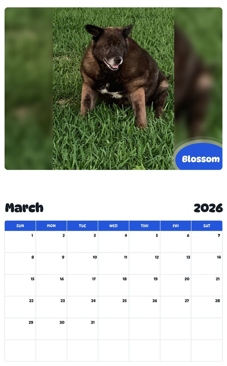 November 2025 - October 2026 Blossom - Pawidols Pet Calendar