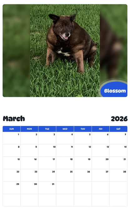 November 2025 - October 2026 Blossom - Pawidols Pet Calendar