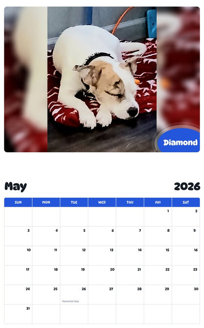 2026 - 2027 Diamond - Pawidols Pet Calendar