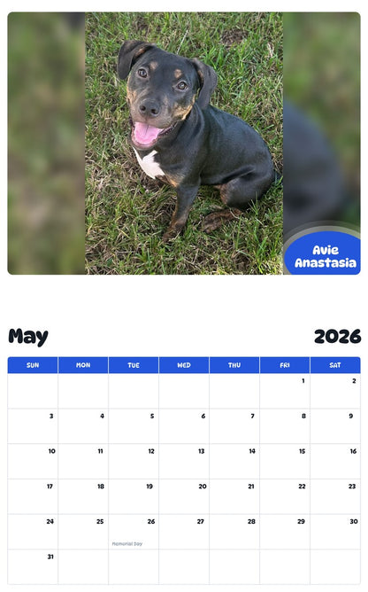 2026 - 2027 Avie Anastasia - Pawidols Pet Calendar