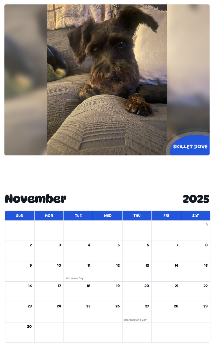 July 2025 - June 2026 Skillet Dove - Pawidols Pet Calendar