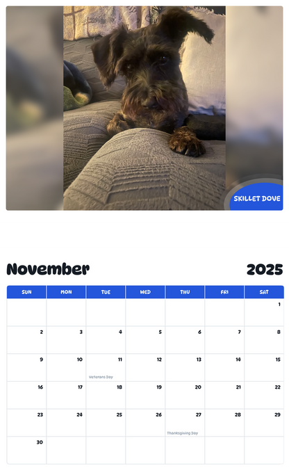 July 2025 - June 2026 Skillet Dove - Pawidols Pet Calendar