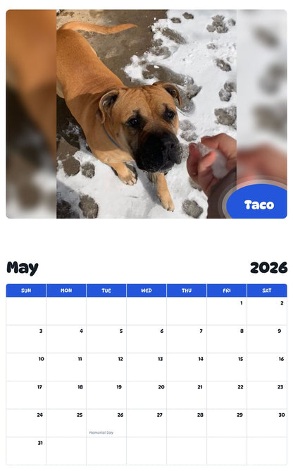 2026 - 2027 Taco - Pawidols Pet Calendar
