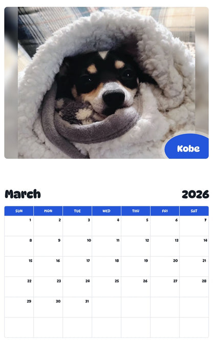 November 2025 - October 2026 Kobe - Pawidols Pet Calendar