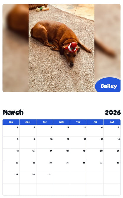 November 2025 - October 2026 Bailey - Pawidols Pet Calendar