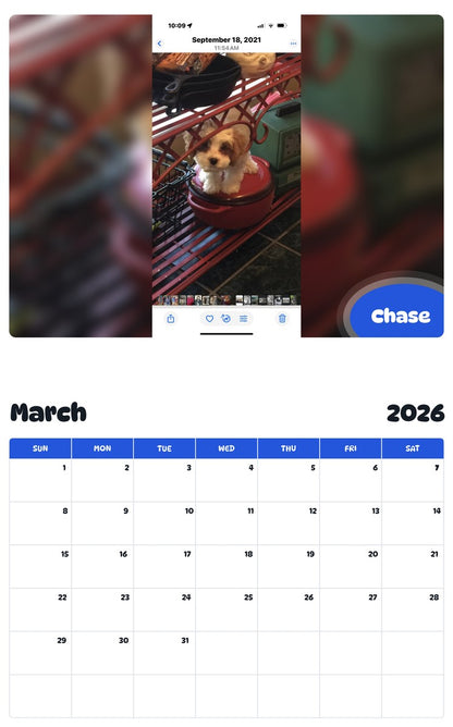 November 2025 - October 2026 Chase - Pawidols Pet Calendar