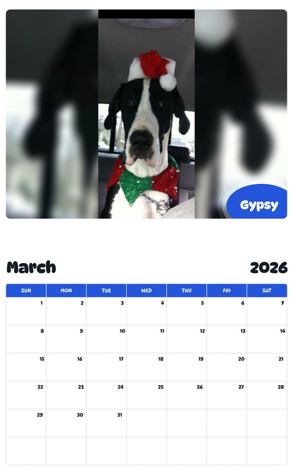 November 2025 - October 2026 Gypsy - Pawidols Pet Calendar