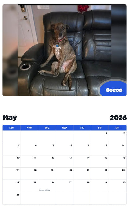 2026 - 2027 Cocoa - Pawidols Pet Calendar