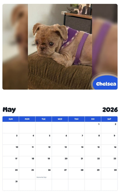 2026 - 2027 Chelsea - Pawidols Pet Calendar