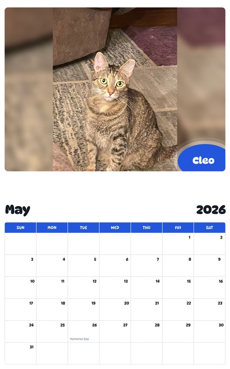 2026 - 2027 Cleo - Pawidols Pet Calendar